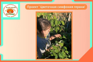 Продолжение фестиваля родительских инициатив Продолжение фестиваля родительских инициатив.