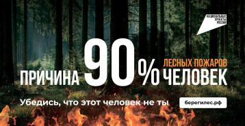 Информационная кампания "Останови огонь!" Информационная кампания "Останови огонь!".