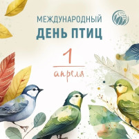 Международный день птиц Международный день птиц.