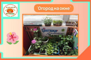 Акция "Огород эколят на окне" Акция "Огород эколят на окне".